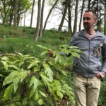 Jimi Blake shows off one of his new scheffler in his emerging Valley area planting.