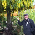 Jayeson Nichols in laburnum tunnel at Altamount.