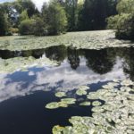 Lake reflects the sky at Altamount.