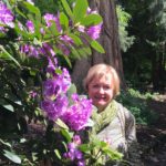 Loraine Whysall with beautiful rhododendron at Altamount.