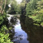 Lake view at Altamount Garden, Ireland.
