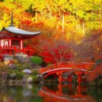 Spectacular fall foliage in Kyoto, Japan