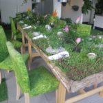 Table set for all-green supper