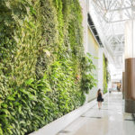 Green wall at Semiahmoo library