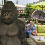 Gorilla in the midst of a patio moment.