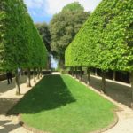 Pleached limes at Hidcote Manor in Gloucestershire.