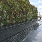 Green wall at Westfield Mall in Shepherd’s Bush, London