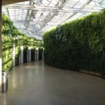 Green wall at washrooms in Longwood Gardens, Philadelphia.