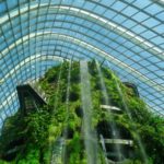 Rainforest tower in the Cloud Dome at Gardens by the Bay in Singapore