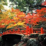 Miyajima island