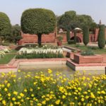 Another view of floral exuberance inside the Palace Garden, New Delhi
