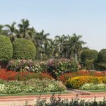 Layers of colour inside the Palace Garden, New Delhi