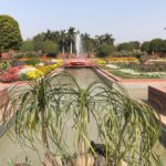 Another view of floral exuberance inside the Palace Garden, New Delhi