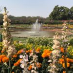 Spectacular flower garden at the Preisdent’s Palace in New Delhi