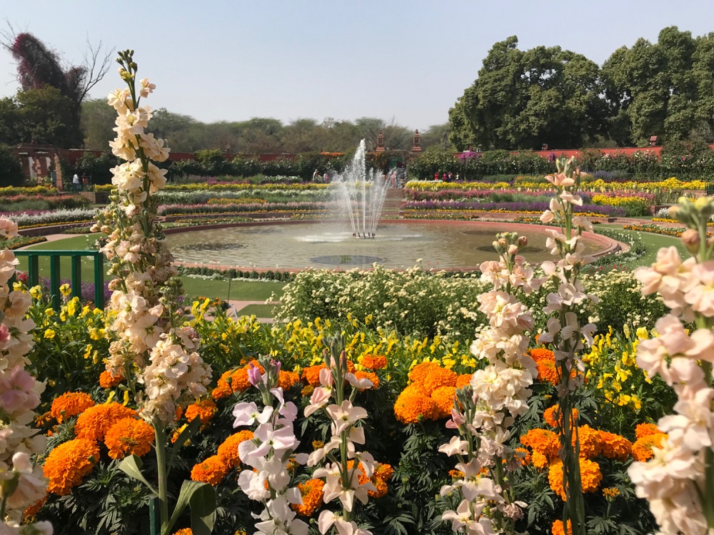 Into Gardens Of New Delhi And On To Chandigarh
