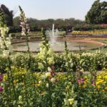 Spectacular circle flower terrace garden at the Palace Garden, New Delhi