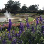 Spectacular flower garden at the Preisdent’s Palace in New Delhi