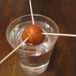 Try germinating an avocado just for the fun of seeing the transformation