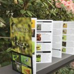 A Field Guide to Insects of the Pacific Northwest by Dr. Robert Canning, $7.95