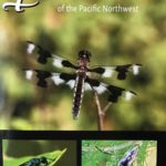 A Field Guide to Insects of the Pacific Northwest by Dr. Robert Canning