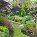 West fence 29Apr2018_5237 small_thumb