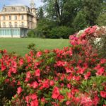 Azaleas at Villa Taranto