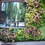 Patrick Blanc’s green wall at the Branly Museum, Paris