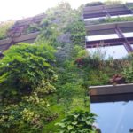 Green wall at the Branly Museum, Paris