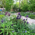 Chelsea Flower Show