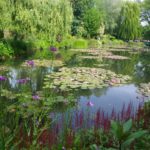 Giverny and lily pond