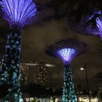 Supertrees at night in Singapore