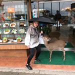 Wendy McLay with Miyajima deer