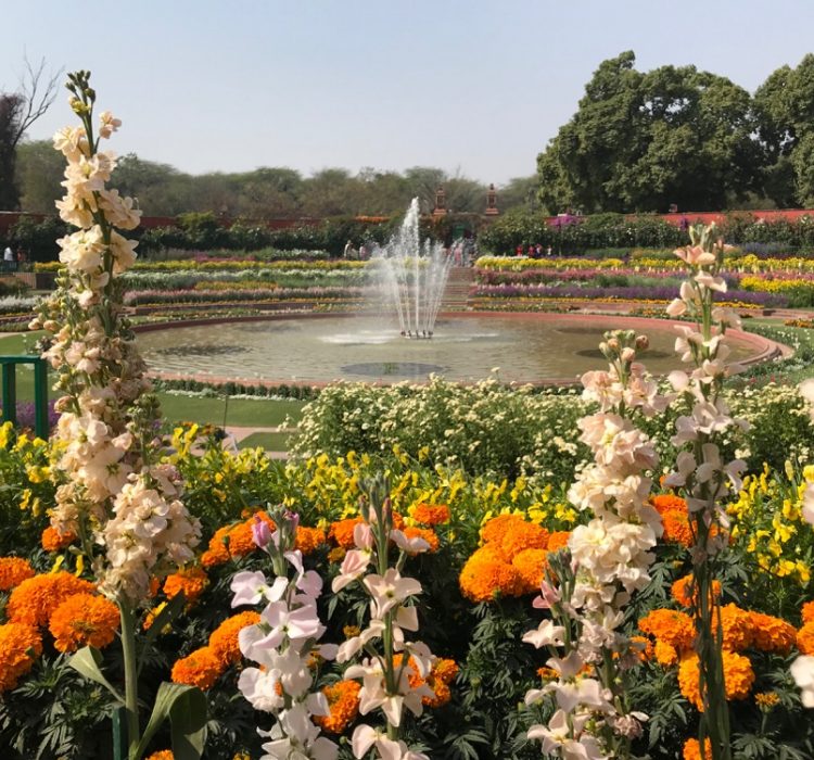 Spectacular flower garden at the Preisdent's Palace in New Delhi